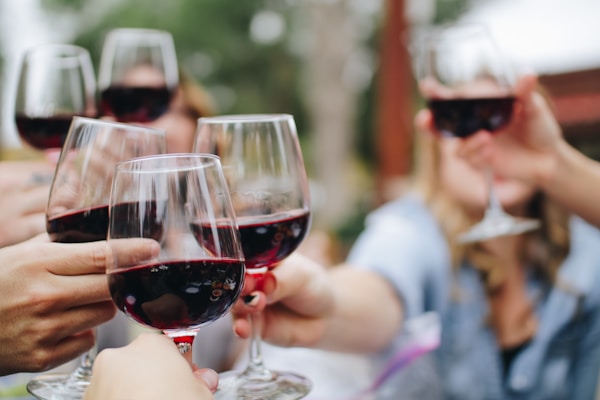 Dégustation vin et gastronomie — Agence Pélican