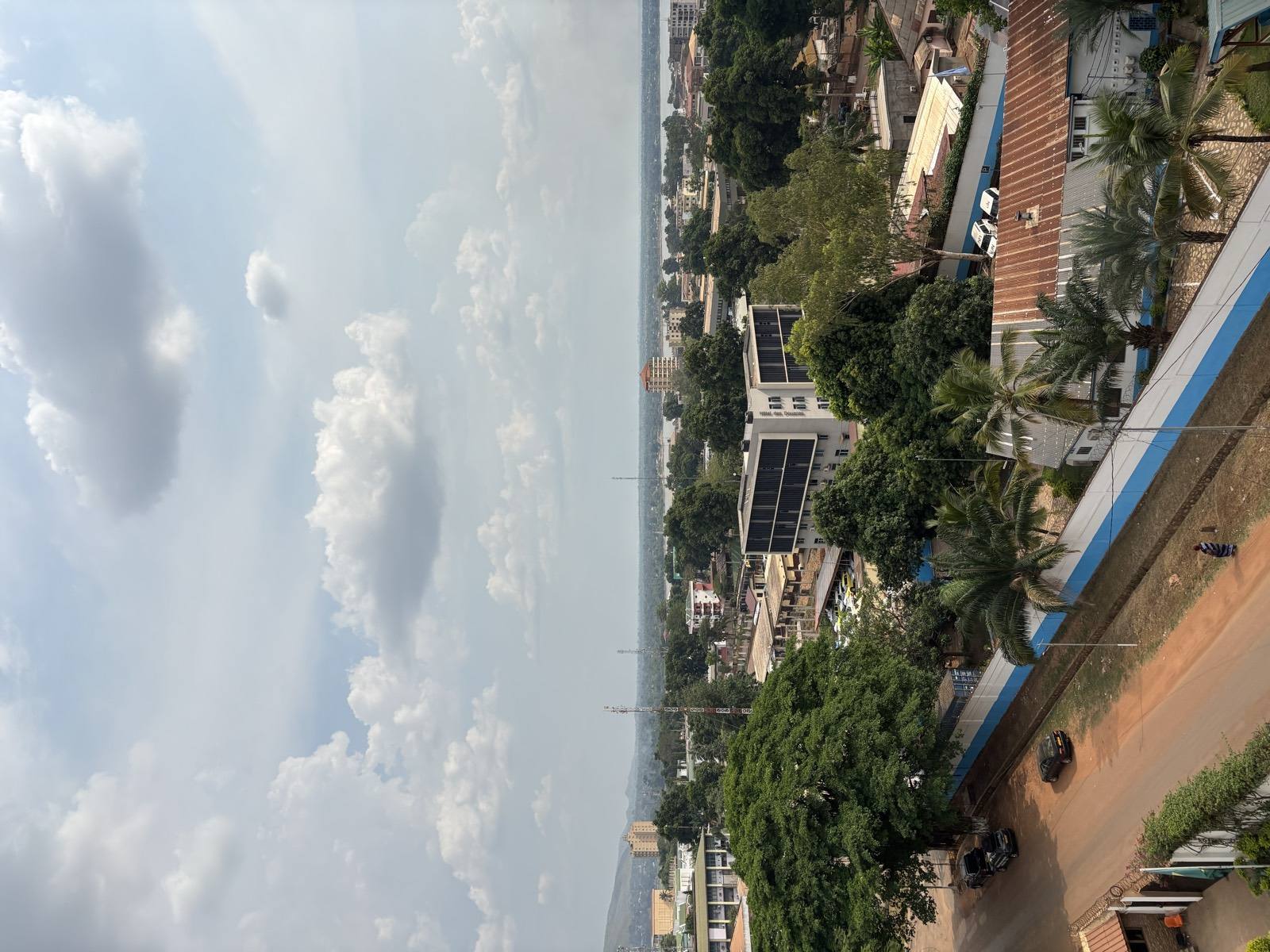 Cameroun — Pélican